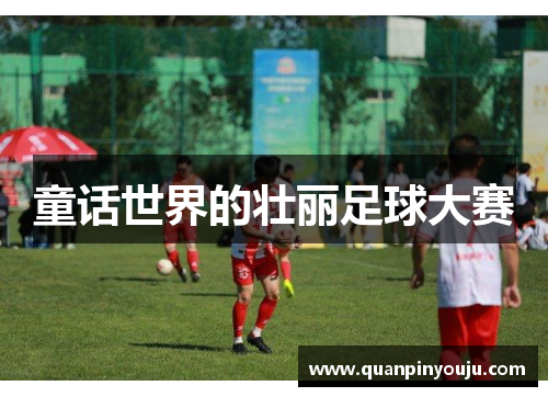 童话世界的壮丽足球大赛